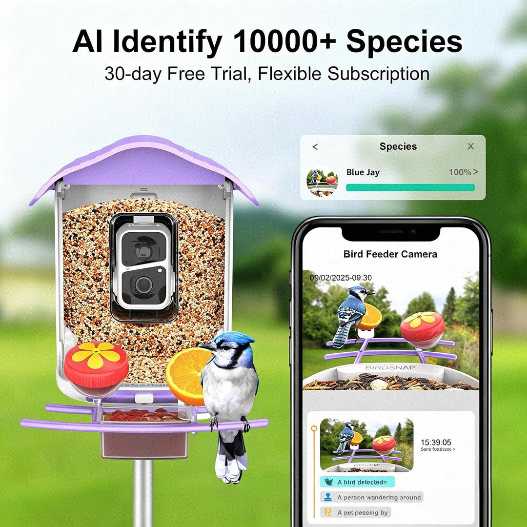 PAV- Vogelfutterstation mit Kamera Solarpanel, 64GB Karte & 2K HD Aufnahme Vogelvideo Vogelhaus für