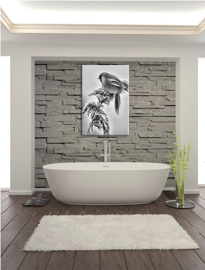 Pixxprint Monocrome, Kleiner Vogel auf Weizen im Winter, Format: 100x70 auf Leinwand, XXL riesige Bi