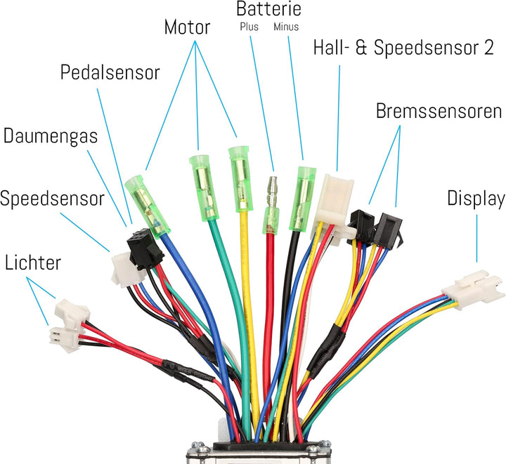 windmeile | Brushless KT-Controller Professional, Torque Controller Trapez, Steuergerät, 36V, 48V, 2