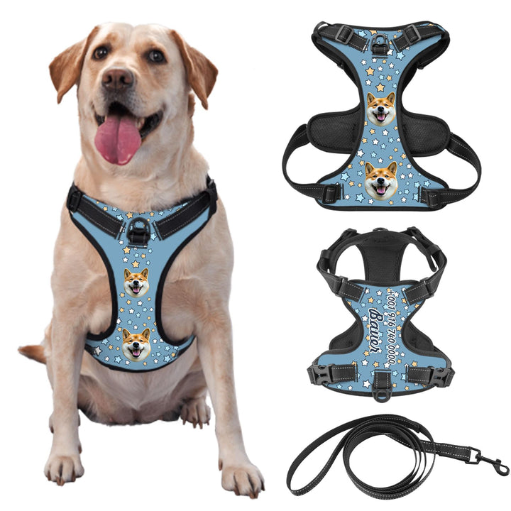 Individuelle Hundegeschir mit Foto und Namen des Tieres, Personalisierte Verstellbare Reflektierende