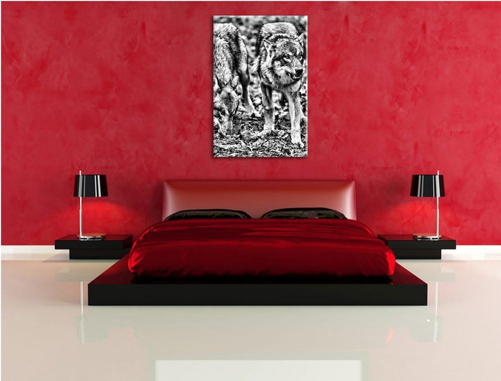 Pixxprint gefährliche Wölfe als Leinwandbild/Grösse: 100x70 / Wandbild/Kunstdruck/fertig bespannt, 1