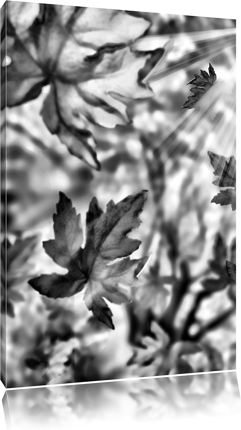 Pixxprint Monocrome, Fliegende Bunte Herbstblätter, Format: 100x70 auf Leinwand, 100x70