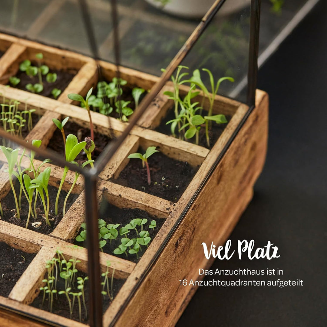 Modernes Gewächshaus als Deko, für Anzucht & für Kräuter | Aus Glas, recyceltem Holz und Metall | Zi