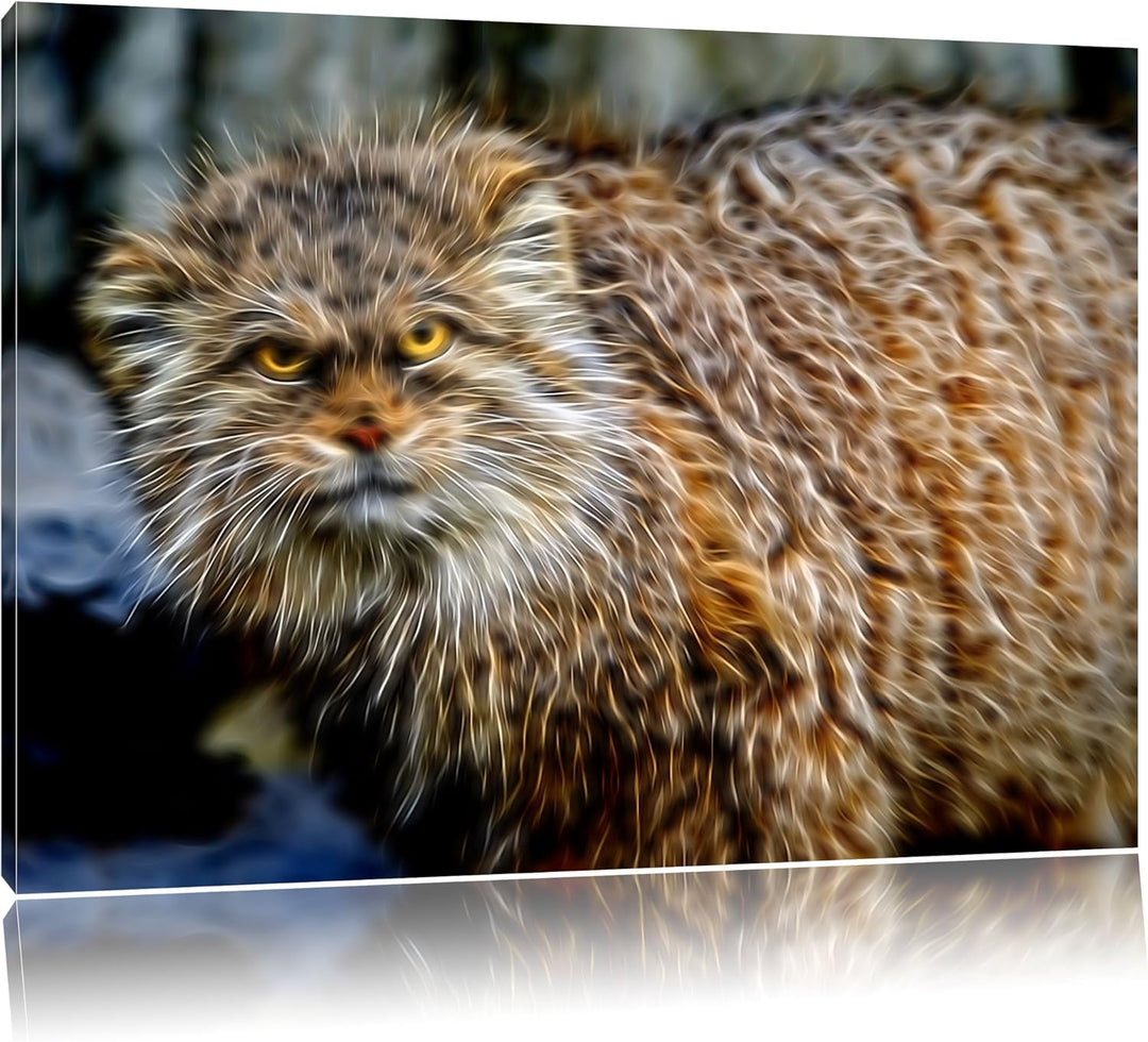 wütende Manul Deluxe Format: 100x70 cm auf Leinwand, XXL riesige Bilder fertig gerahmt mit Keilrahme