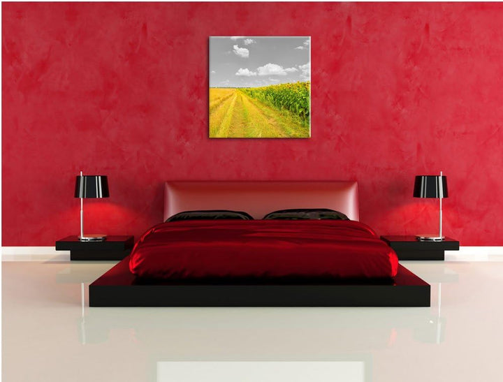 Pixxprint Feldweg Sonnenblumen als Leinwandbild Quadratisch/Grösse: 70x70 / Wandbild/Kunstdruck/fert