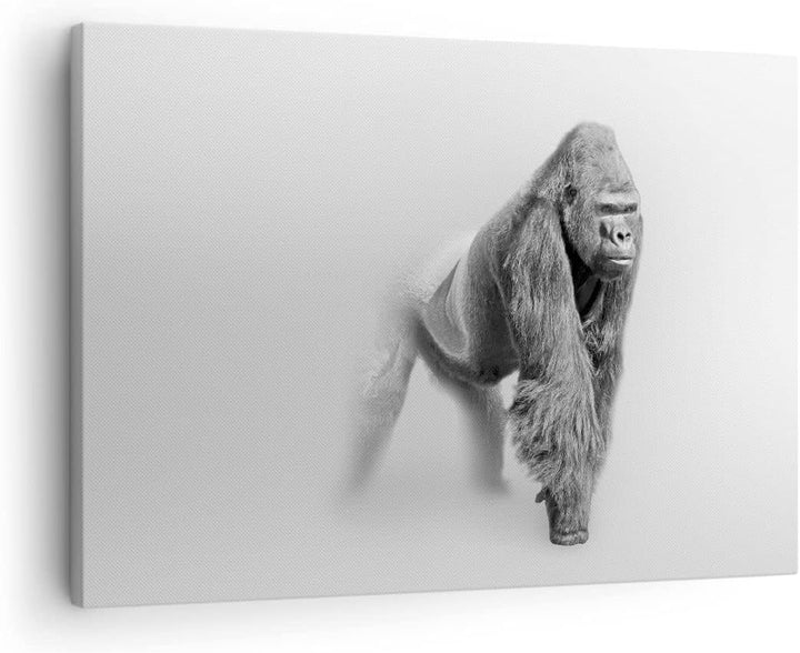 Bilder auf Leinwand Orang-Utan Tier Leinwandbild mit Rahmen 70x50cm Wandbilder Dekoration Wohnzimmer