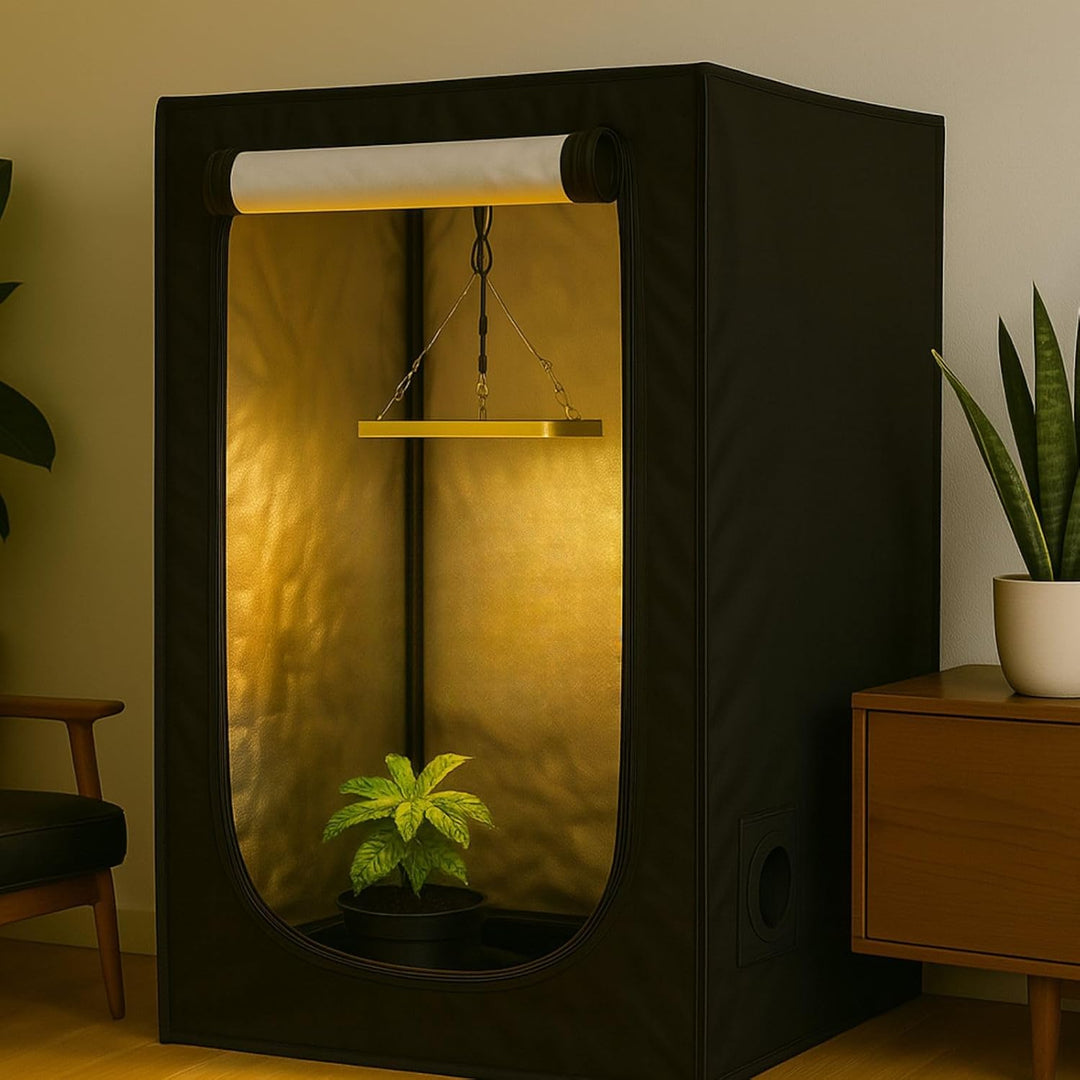 Weedness Grow Box Komplett Set LED 240 Watt Basic 80x80x160 cm - Zuchtzelt Growschrank Growzelt Anba