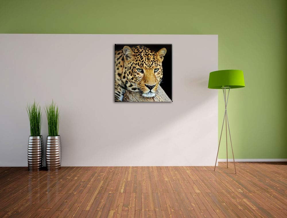 Pixxprint Ruhiger Leopard, Format: 70x70 auf Leinwand, XXL riesige Bilder fertig gerahmt mit Keilrah