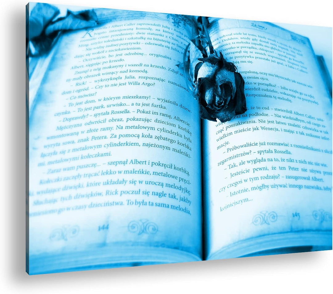 deyoli altes Buch mit roter Rose Format 80x60 Effekt: Monocrome Blau als Leinwandbild, Motiv fertig