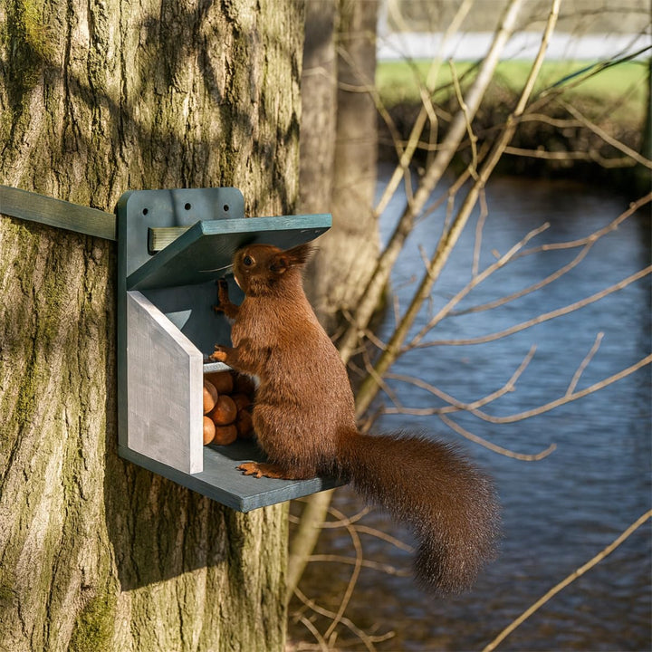 Holznager | Eichhörnchen Futterhaus wetterfest, sehr stabil und sicher | Handmade aus eigener Produk