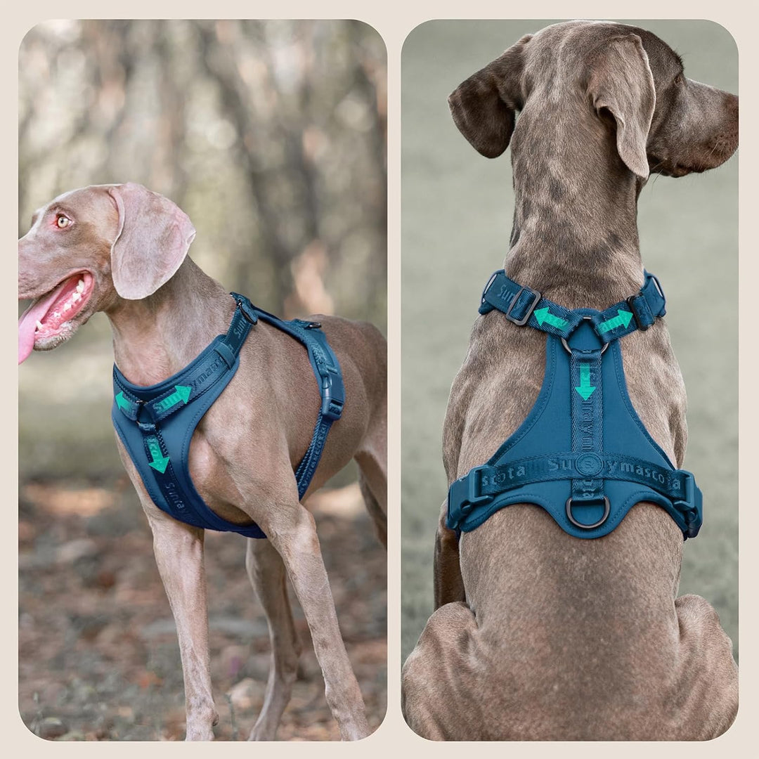 No Pull Hundegeschirr mit weicher Lycra-Polsterung, atmungsaktiver Komfortweste aus Mesh, Verstellba