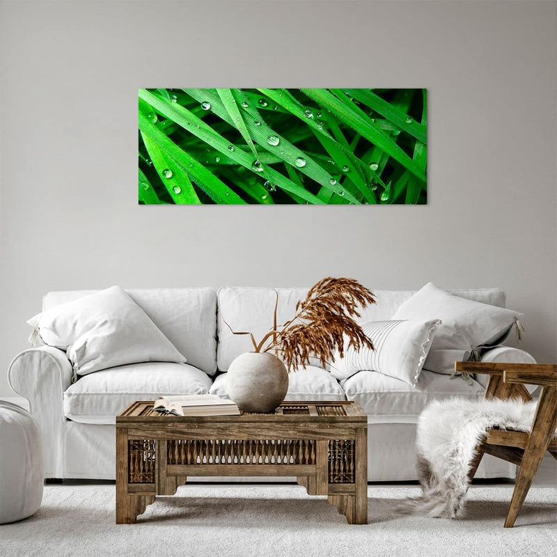 Panorama Bilder auf Leinwand 100x40cm Leinwandbild Natur Gras Wasser Tropfen Gross Wanddeko Bild Sch