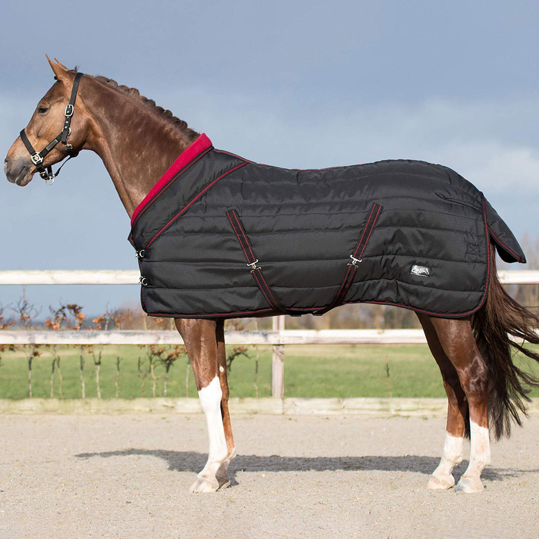 QHP Luxus Stalldecke Collection 200g Füllung Fleecekragen Kreuzgurte schwarz (155 cm), 155 cm