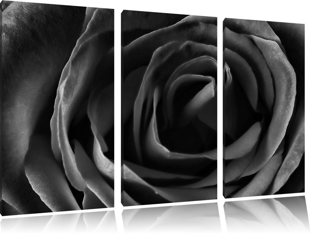 Pixxprint Rote Rose als Leinwandbild/Grösse: 3 Teilig (120x80) cm/Wandbild/Kunstdruck/fertig bespann