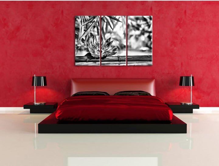 Pixxprint Seerose auf Bambus Wellness als Leinwandbild/Grösse: 3 Teilig (120x80) cm/Wandbild/Kunstdr