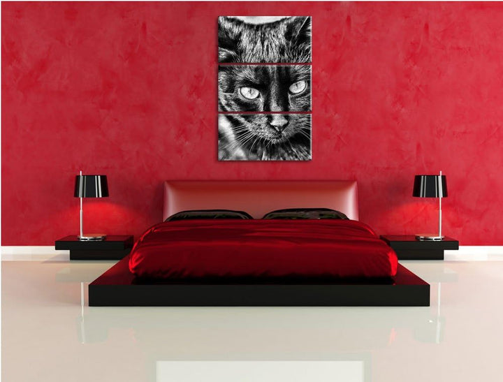Pixxprint Schwarze Katze als Leinwandbild/Grösse: 3 Teilig (120x80) / Wandbild/Kunstdruck/fertig bes