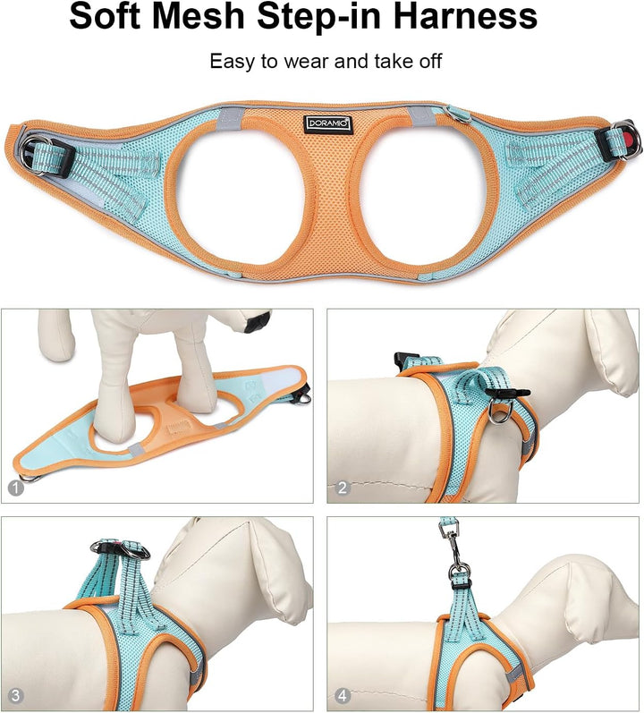 DORAMIO Hundegeschirr Kleine Hunde mit Leine, Step-in Geschirr Reflektierend Atmungsaktiv Brustgesch