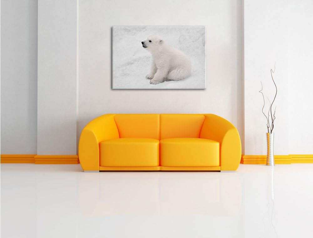 Pixxprint niedliches Eisbär Baby als Leinwandbild/Grösse: 100x70 cm/Wandbild/Kunstdruck/fertig bespa