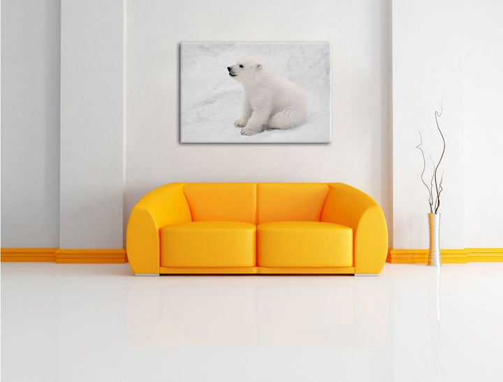 Pixxprint niedliches Eisbär Baby als Leinwandbild/Grösse: 100x70 cm/Wandbild/Kunstdruck/fertig bespa