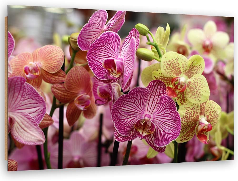 Feeby Wanddeko Pflanze Bild Kunstdruck modern Orchidee Violett 80x60 cm Deko Paneel 80x60 cm Violett