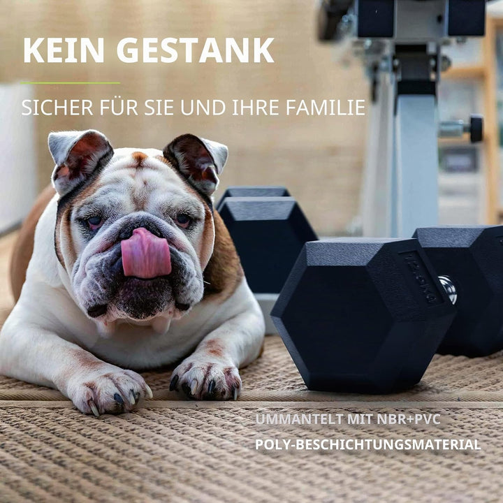 PhysKcal Hexagon Hanteln Poly-Gummierte | 2,5-20 kg | Rutschsicher Ummantelt | Ergonomische Verchrom