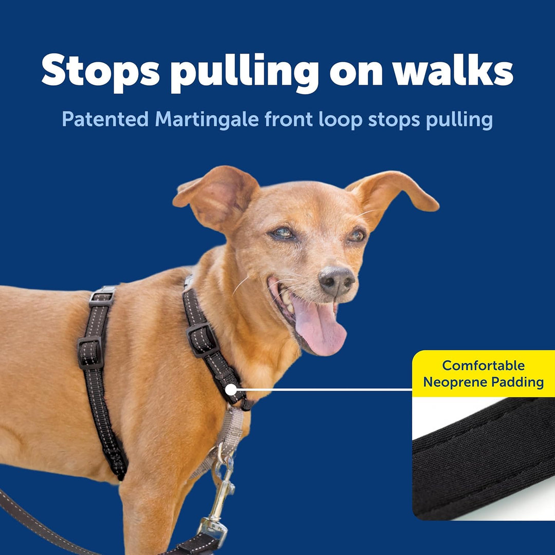 PetSafe 3-in-1-Geschirr, Easy Walk Hundegeschirrs, voll verstellbar, kein Ziehen, Schwarz, Grösse XS