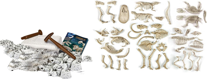 Clementoni 59258 Galileo Discovery – Ausgrabungs-Set Dino Mega-Collection, spannendes Spielzeug für