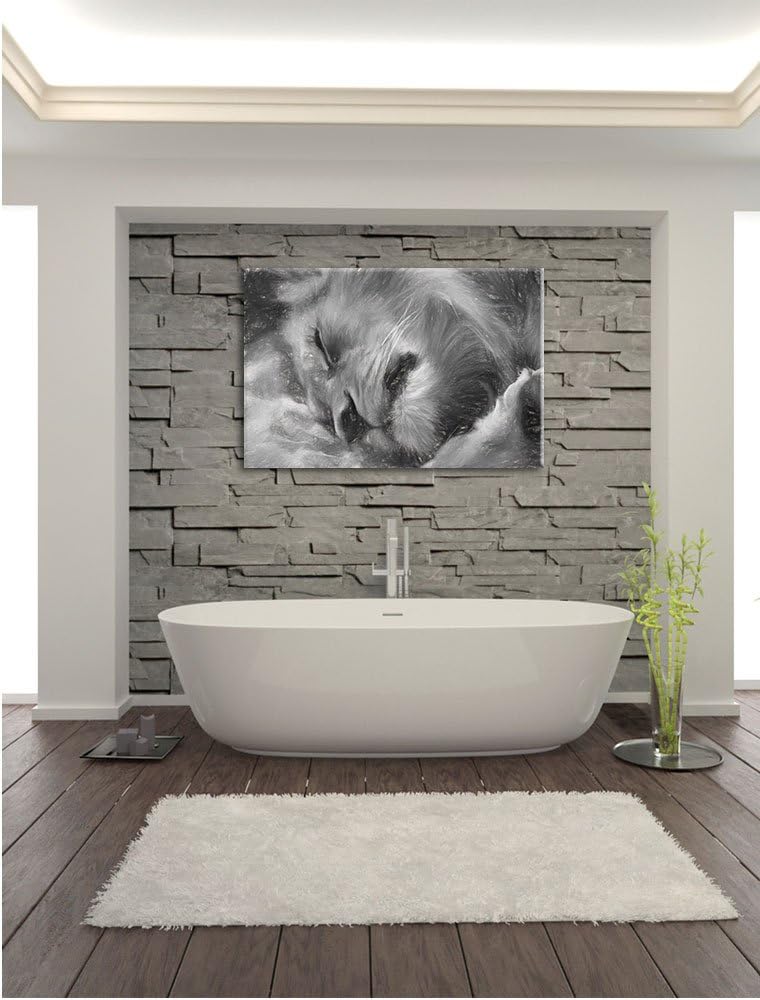 Pixxprint schlafender Löwe Kunst als Leinwandbild/Grösse: 100x70 cm/Wandbild/Kunstdruck/fertig bespa