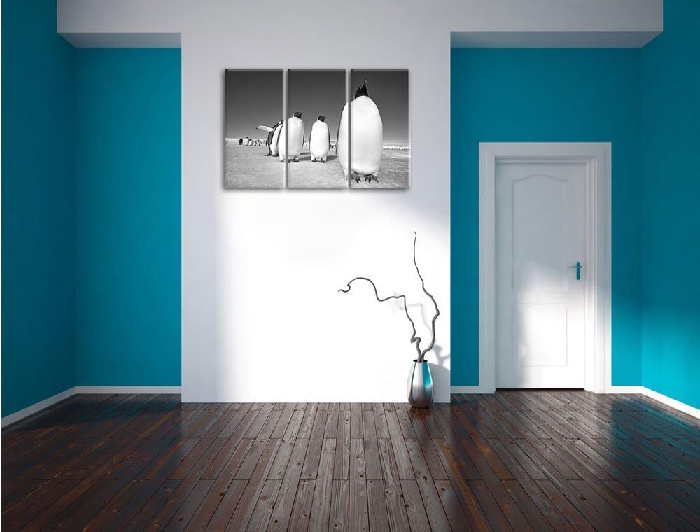 Pixxprint Kaiserpiguine in Antarktis als Leinwandbild/Grösse: 3 Teilig (120x80) cm/Wandbild/Kunstdru