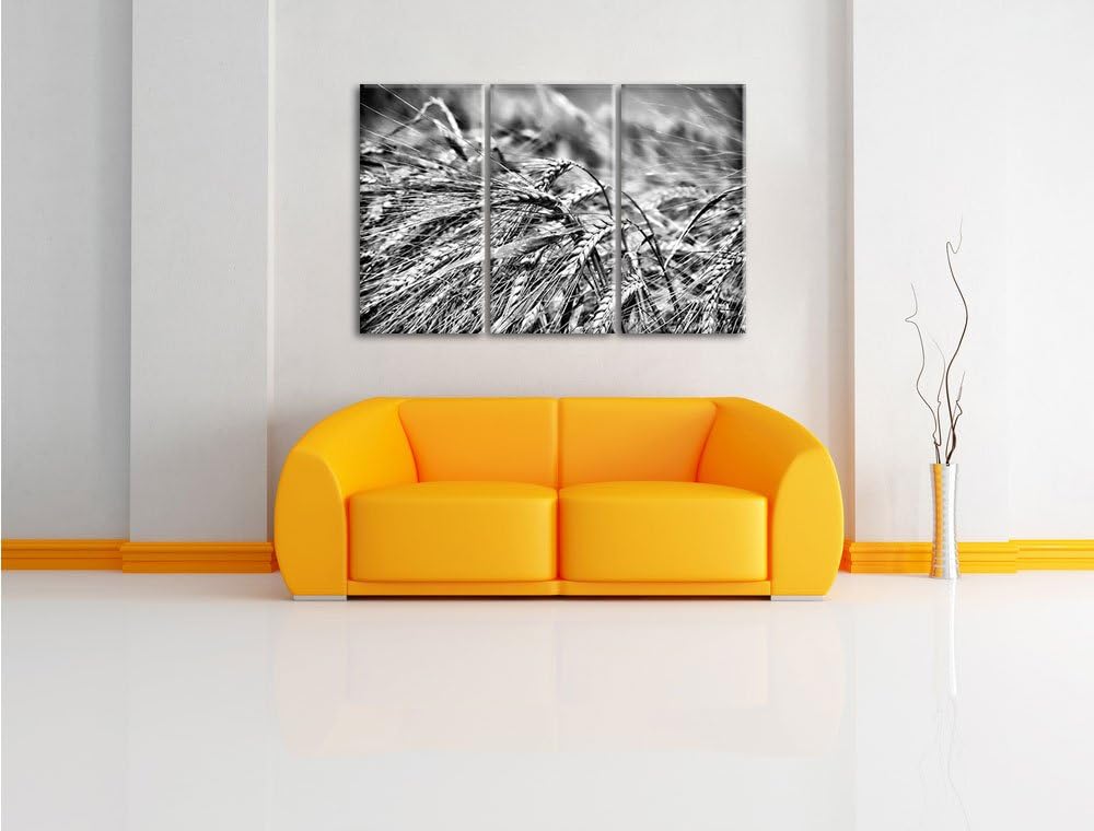 Pixxprint Goldene Getreide Ären als Leinwandbild | Grösse: 3 Teilig (120x80) | Wandbild| Kunstdruck