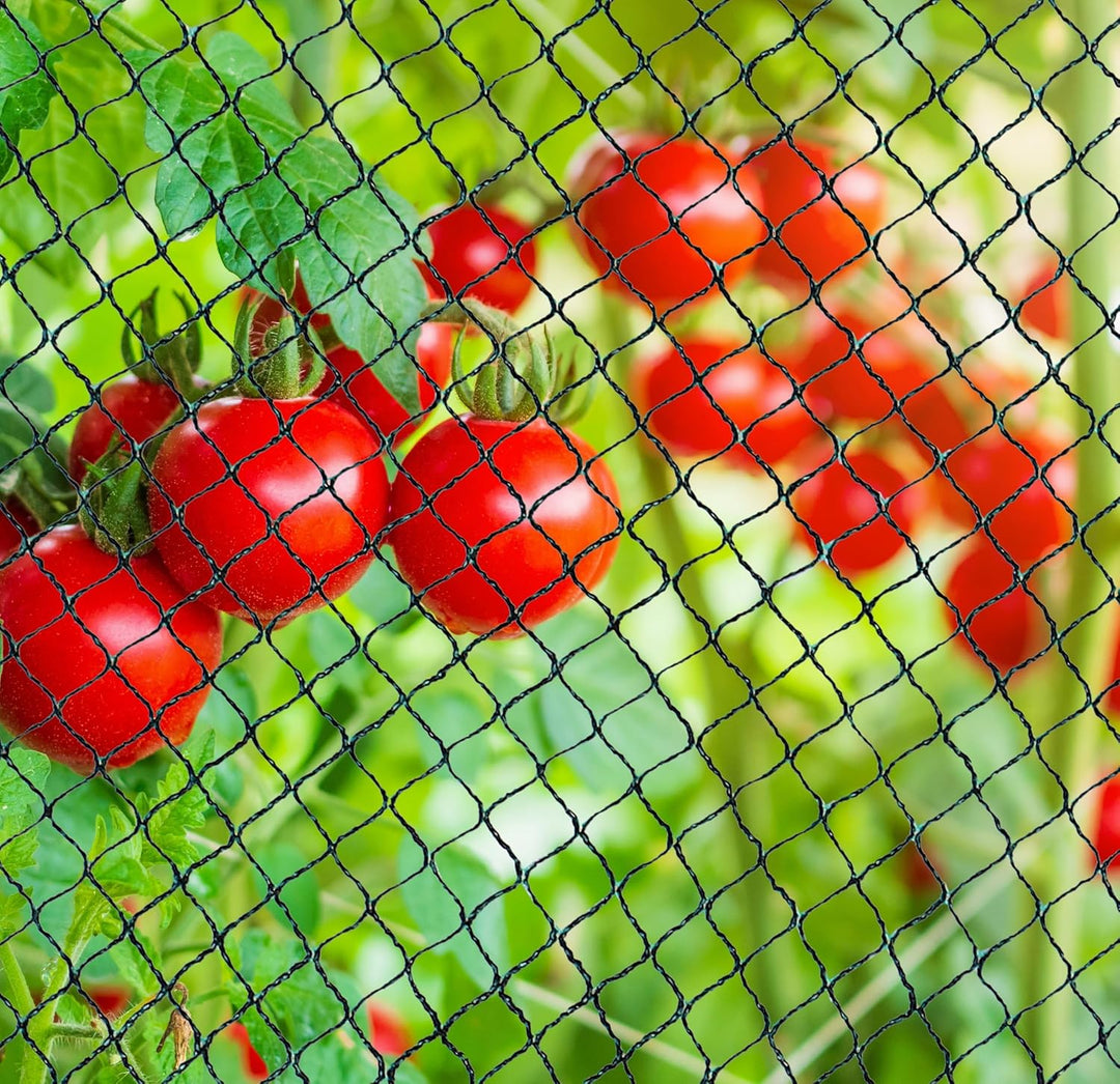 F&R Gartennetz, Teichnetz, Vogelschutz-Netz, Pool Netz, Obstbaumnetz, Vogelabwehr-Netz, Laubnetz 20g
