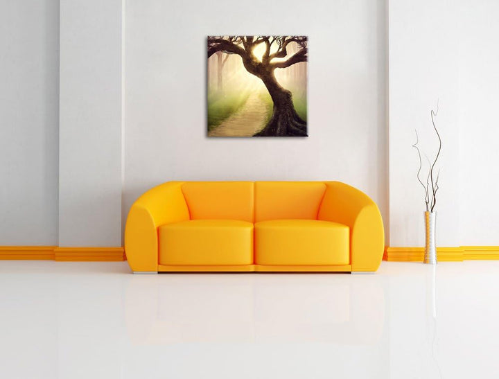 Riesiger Baum am Waldweg, Format: 70x70 auf Leinwand, XXL riesige Bilder fertig gerahmt mit Keilrahm