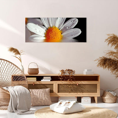 Wandbilder Dekoration Wohnzimmer Kraut Kamille Blume Wasser Panorama Bilder auf Leinwand 120x50cm Le