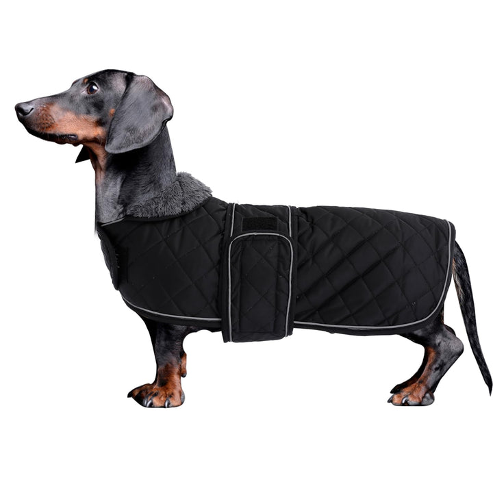MOREZI Hundemantel Winter für Dackel - Wasserdichter Hunde Pullover mit Wolle Futter & Verstellbaren