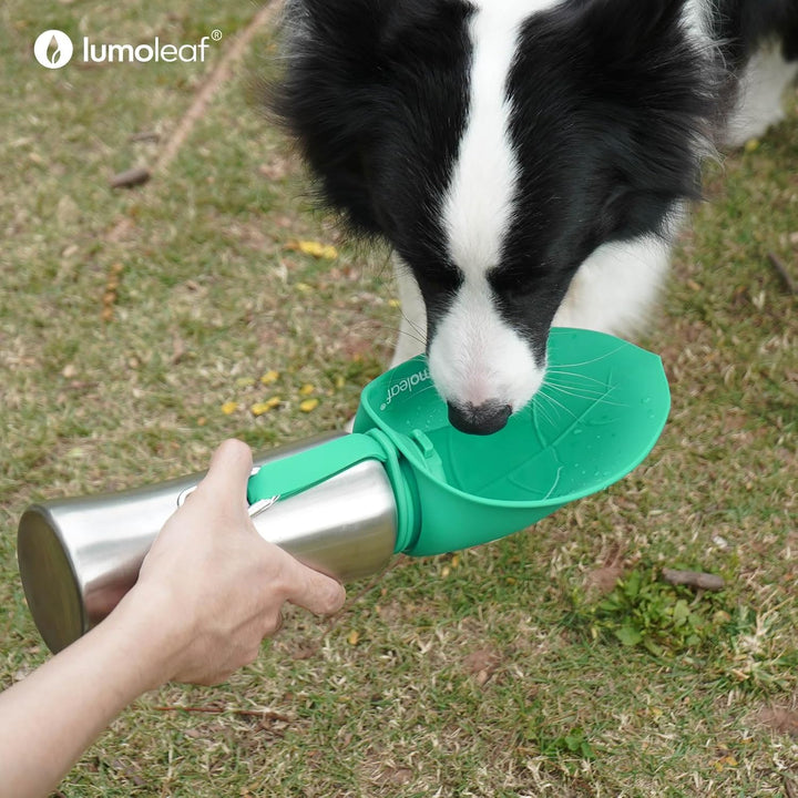 LumoLeaf Hundetrinkflasche für unterwegs, 800ml Edelstahl Trinkflasche Hund, Tragbare Haustier Wasse