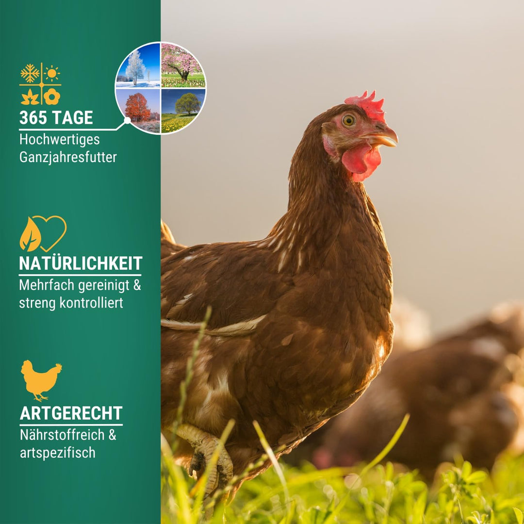 Agrarzone Hühnerfutter gegen Milben Pellets 20 kg – Österreichische Hühner Futter Pellets – Wirksame