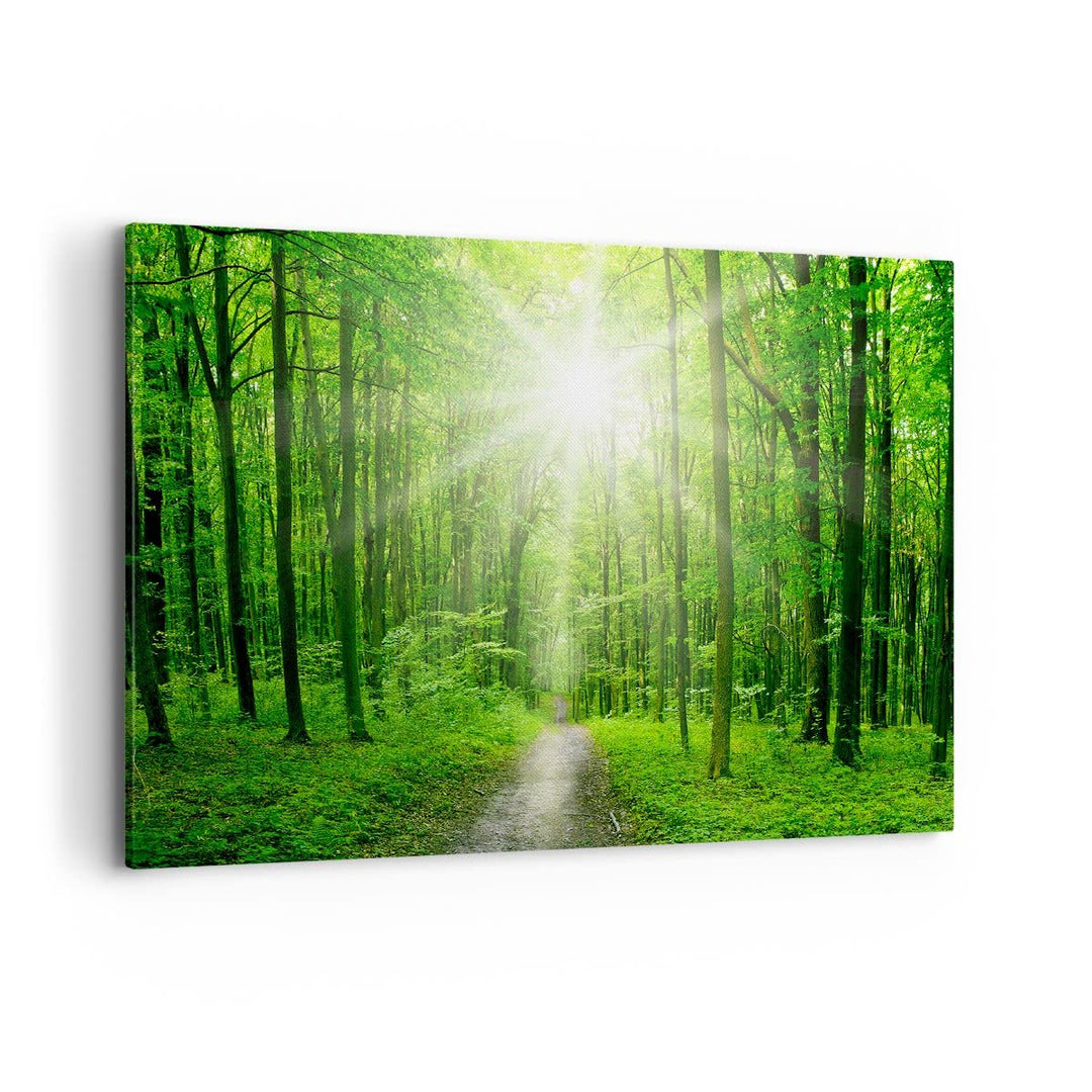 Bilder auf Leinwand 100x70cm Leinwandbild Sonnenstrahlen Wald Sommer Gross Wanddeko Bild Schlafzimme