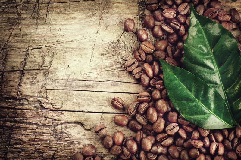 Queence | Küchen Spritzschutz Kaffeebohnen 60x40x0,3 cm | Küchenrückwand | Alu-DiBond | Fliesenschut
