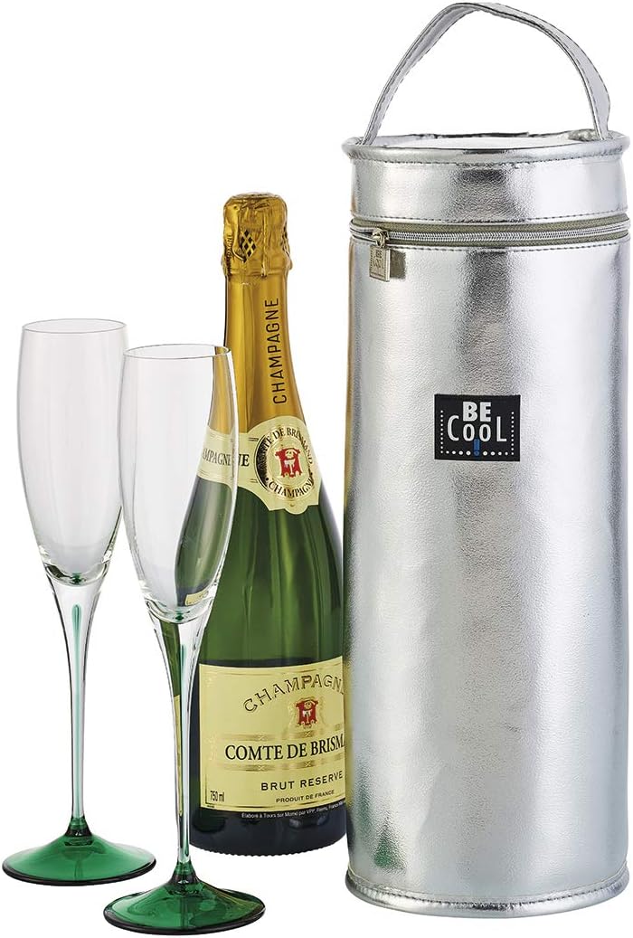 Kühltasche Isoliertasche Silber 33cm hochwertig BE CooL City Picknickkorb foolonli für Flaschen