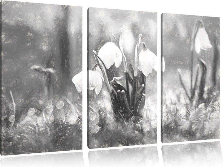 Pixxprint Schneeglöckchen als Leinwandbild/Grösse: 3 Teilig (120x80) cm/Wandbild/Kunstdruck/fertig b