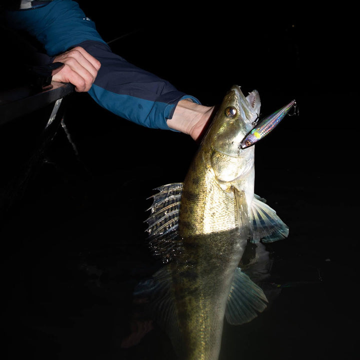 Hybrida Zanderkönig 2.0 Wobbler 12cm 21g UV-Zander, UV-Zander