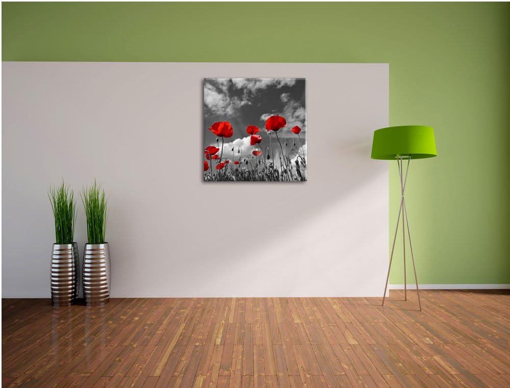 Pixxprint Wiese mit Blumen / 70x70cm Leinwandbild bespannt auf Holzrahmen/Wandbild Kunstdruck Dekora