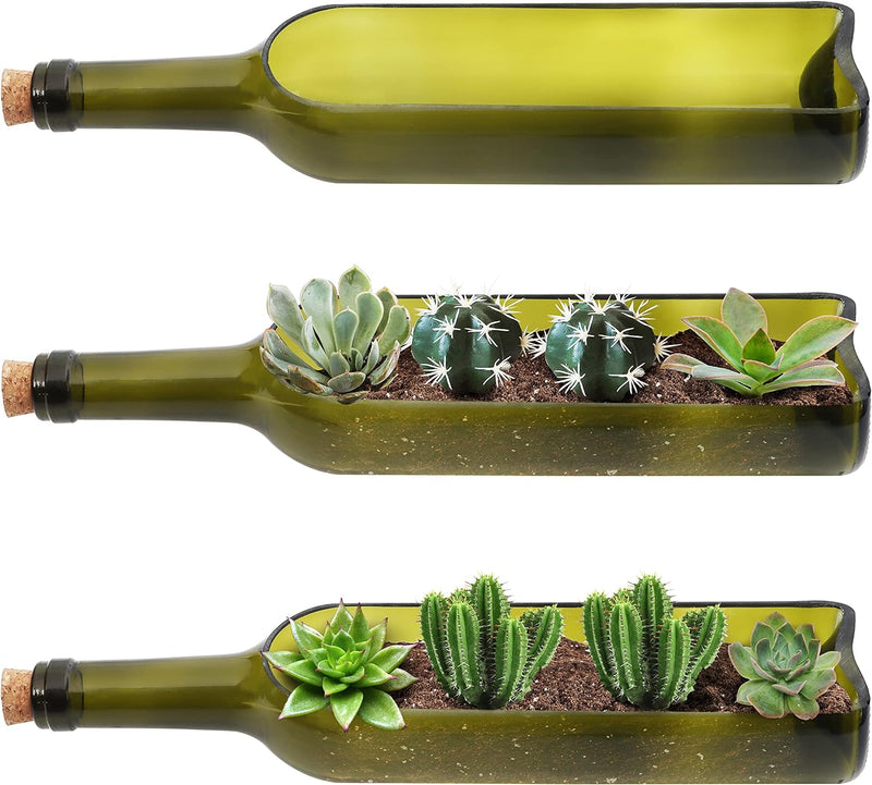 BELLE VOUS 3er Pack Glas Weinflasche Sukkulente Blumenkasten Vintage Blumentopf - L32 x B7,1 cm Oval