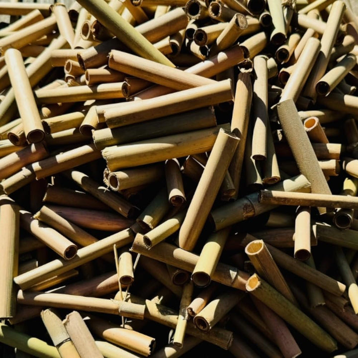 DARLUX 1000 x Baumbusröhrchen I Nisthilfe für Wildbienen I Insektenhotel Füllmaterial 6 und 8 mm Ø I