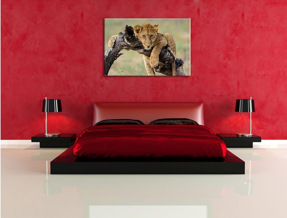 Junger Löwe in der Natur, Format: 100x70 auf Leinwand, XXL riesige Bilder fertig gerahmt mit Keilrah