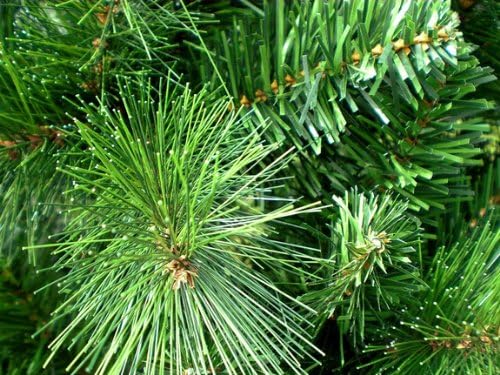 RS Trade 1101 120 cm Weihnachtsbaum PVC künstlich (Ø ca. 76 cm) mit 446 Spitzen - PREIS-LEISTUNGSSIE