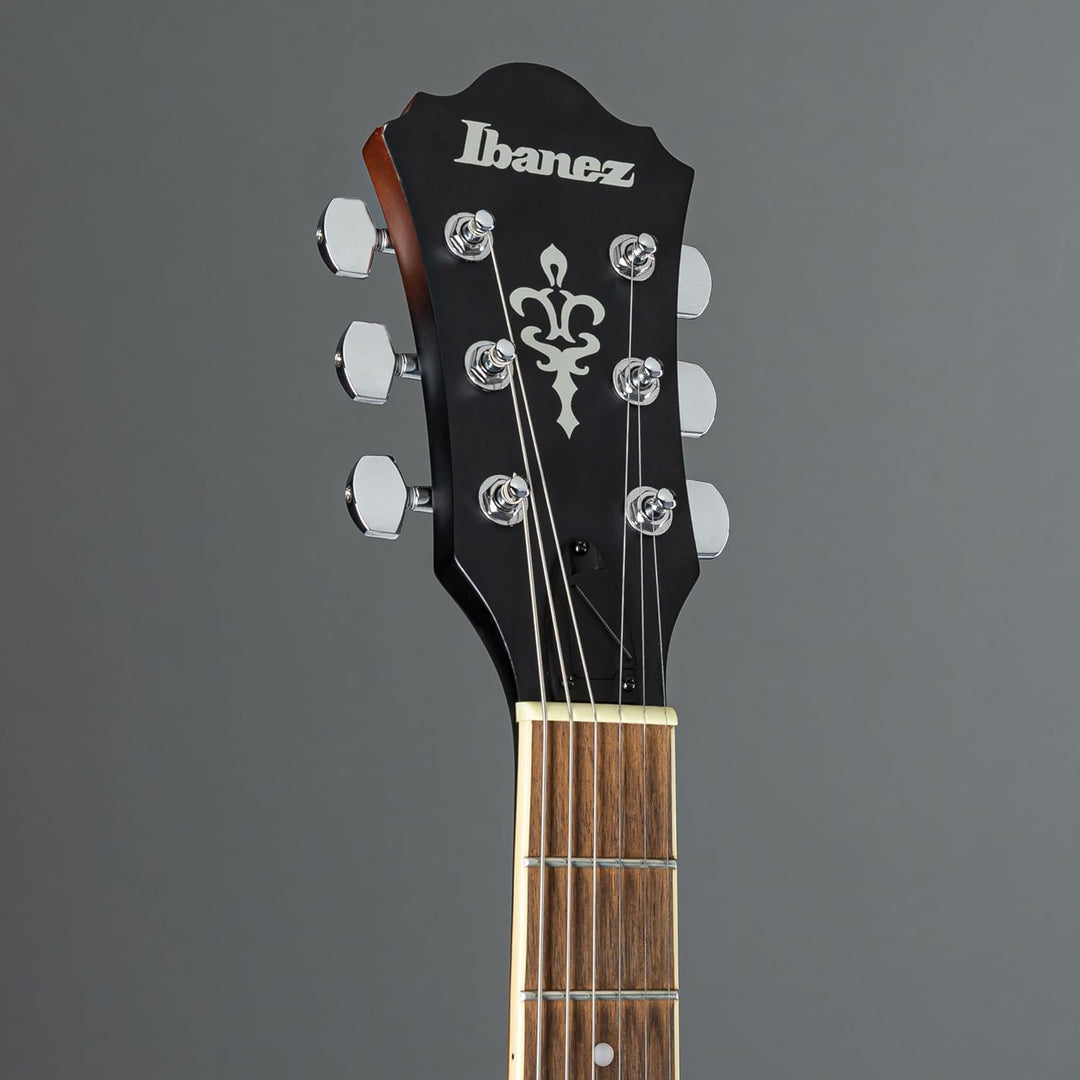Ibanez AS53-TF Guitars