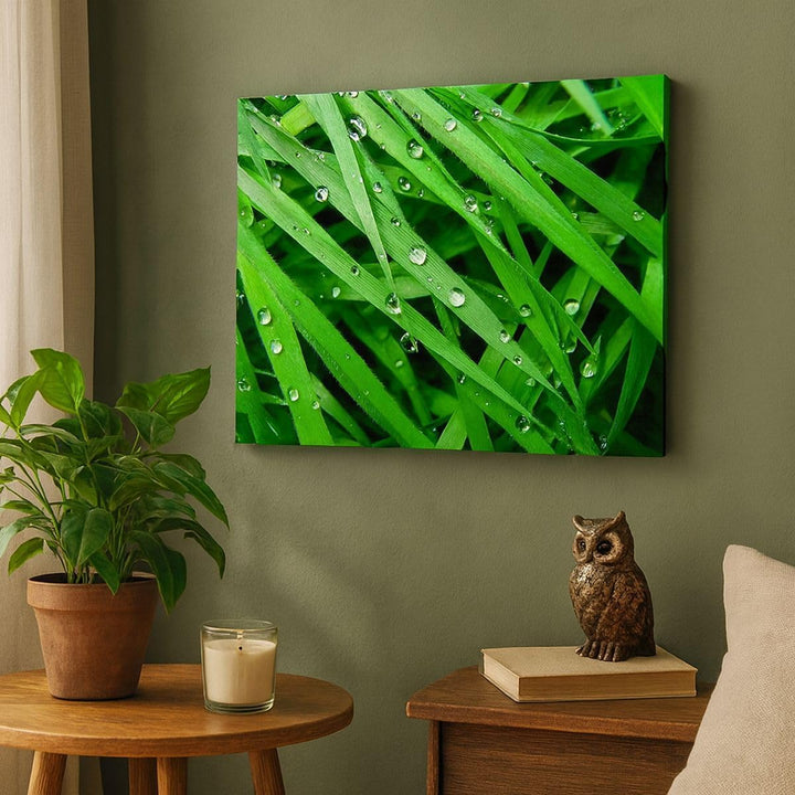 Bilder auf Leinwand 100x70cm Leinwandbild Natur Gras Wasser Tropfen Gross Wanddeko Bild Schlafzimmer