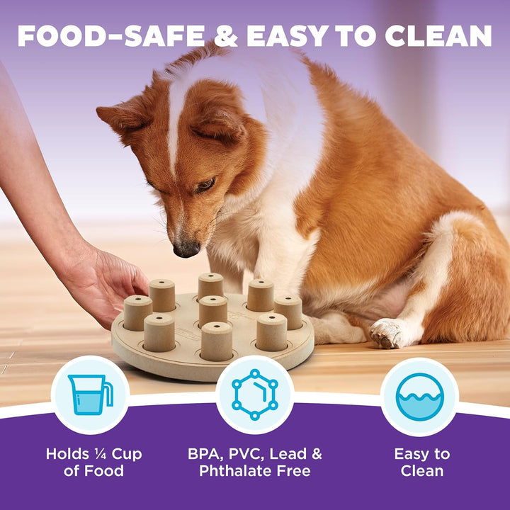 Outward Hound Nina Ottosson Dog Smart Treat Puzzle Enrichment Toy, Level 1 Beginner, Tan, Composite,