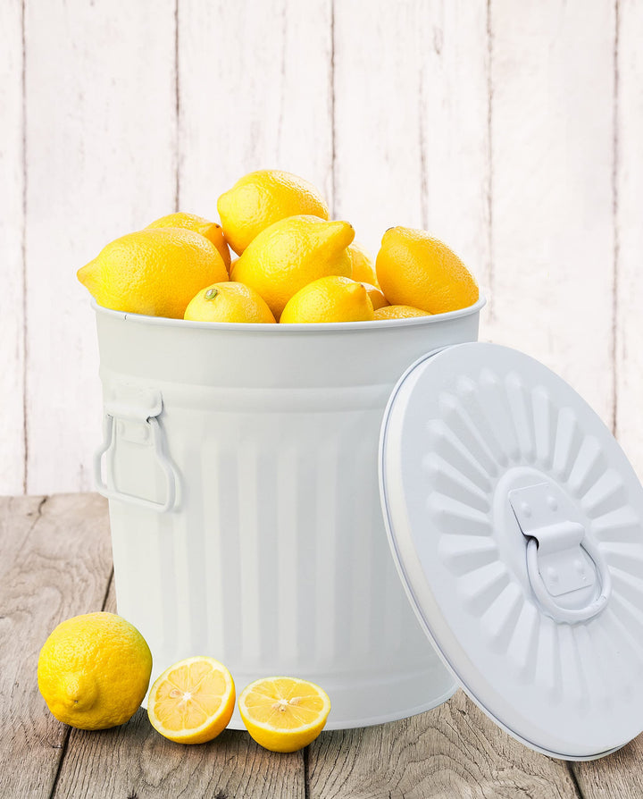 Retro Mülleimer mit Deckel – Vielseitiger Haushaltshelfer – Metall Mattweiss, Ø 30 cm x 32 cm, 18 L